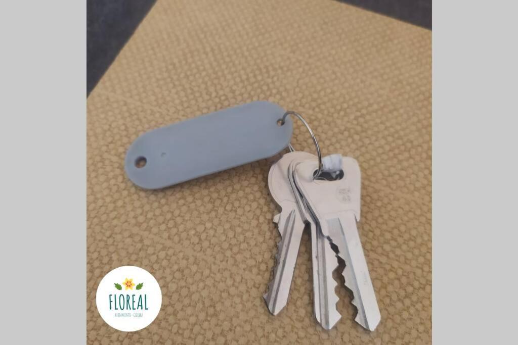 Cedeira Apartamento - Floreal Zewnętrze zdjęcie